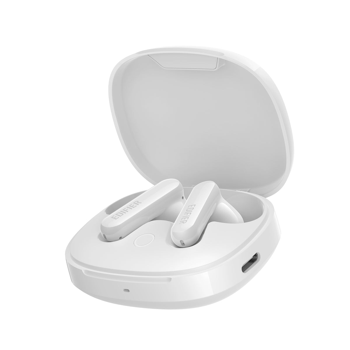 X2 Pro True Wireless Earbuds