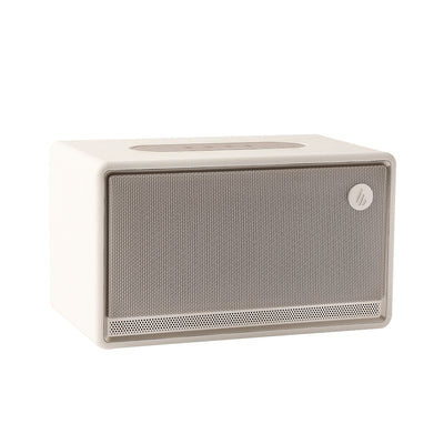 ES300 Tabletop Wireless Speaker