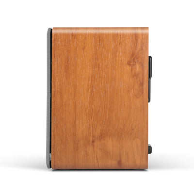 P17 Passive Bookshelf Speakers